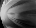 imagesx